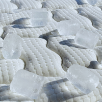Surmatelas mémoire de forme 2 en 1 FRESH - TRES FRESH BLEU