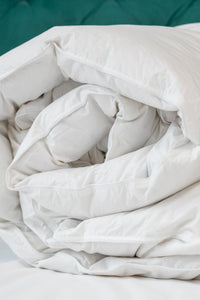 Lot couette & oreiller plumes - PLUME