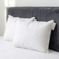 Lot de 2 oreillers hybride premium plume duvet naturel et nanofibres - Enveloppe 100% coton percale