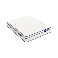 Matelas ressorts ensachés et mousse mémoire de forme HD - BED PLATINIUM 27 cm