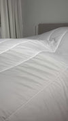 Couette waves.mp4